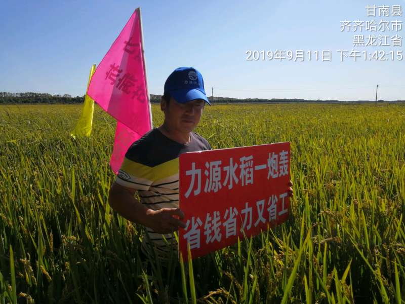 &#38886;&#24503;&#32593;&#31449;&#45;&#40;&#20013;&#22269;&#41;&#26377;&#38480;&#36131;&#20219;&#38886;&#24503;&#32593;&#31449;